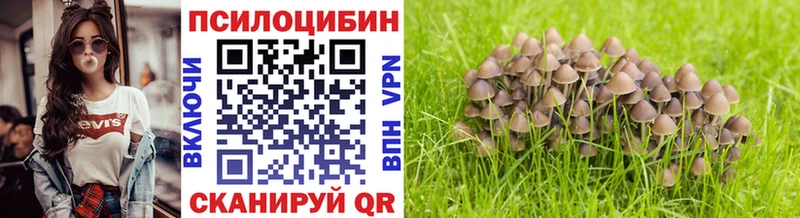 мега вход  где купить наркотик  Северская  Псилоцибиновые грибы прущие грибы 